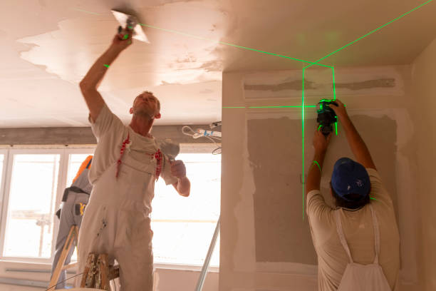 Best Water-Damaged Drywall Repair  in Sardinia, OH