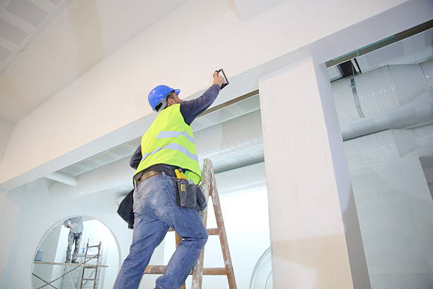 Best Ceiling Drywall Installation  in Sardinia, OH